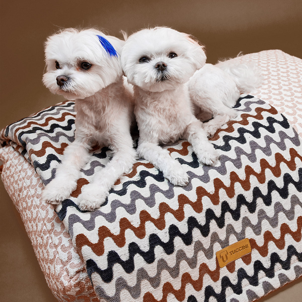 Blanket