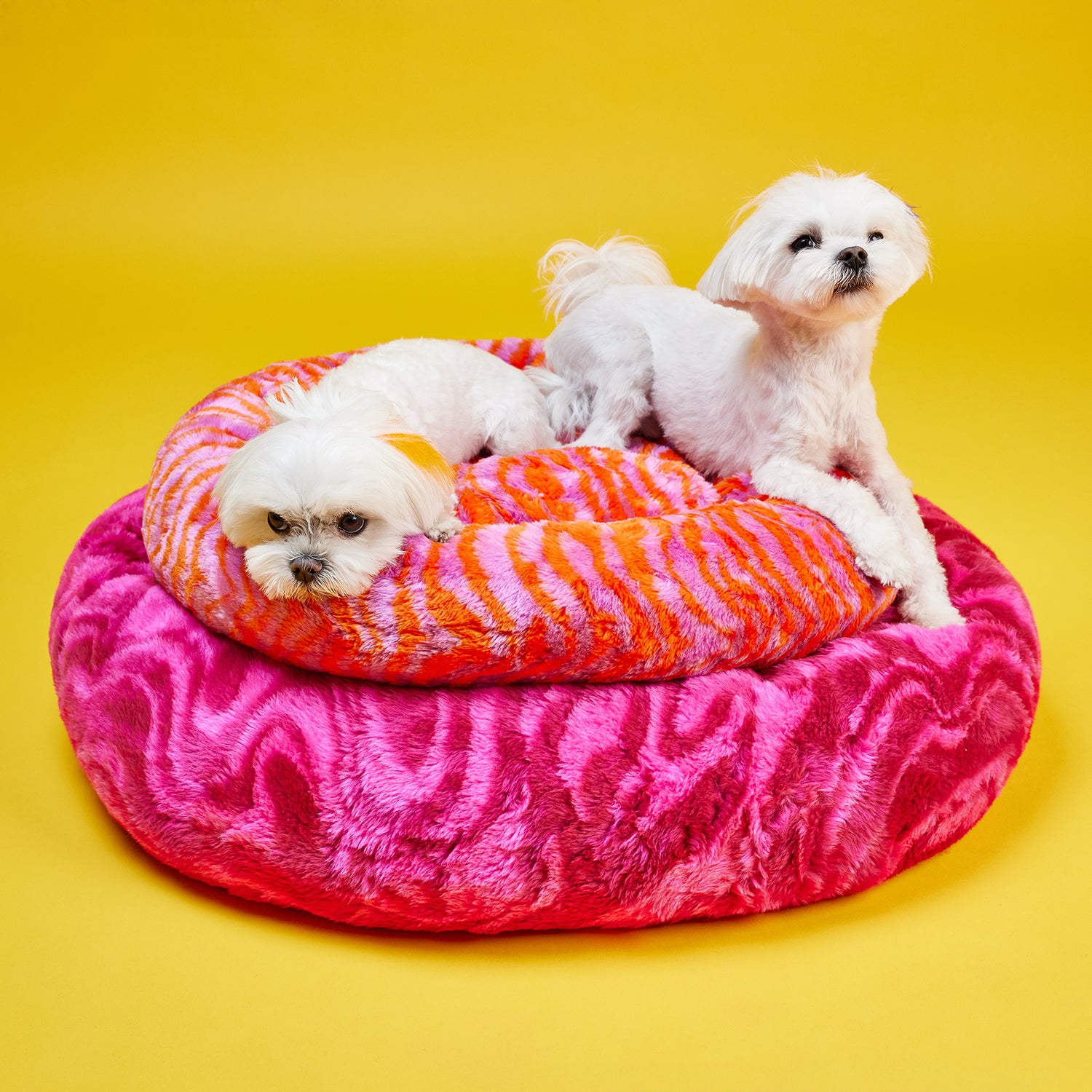 Wild Ember Royal Halo