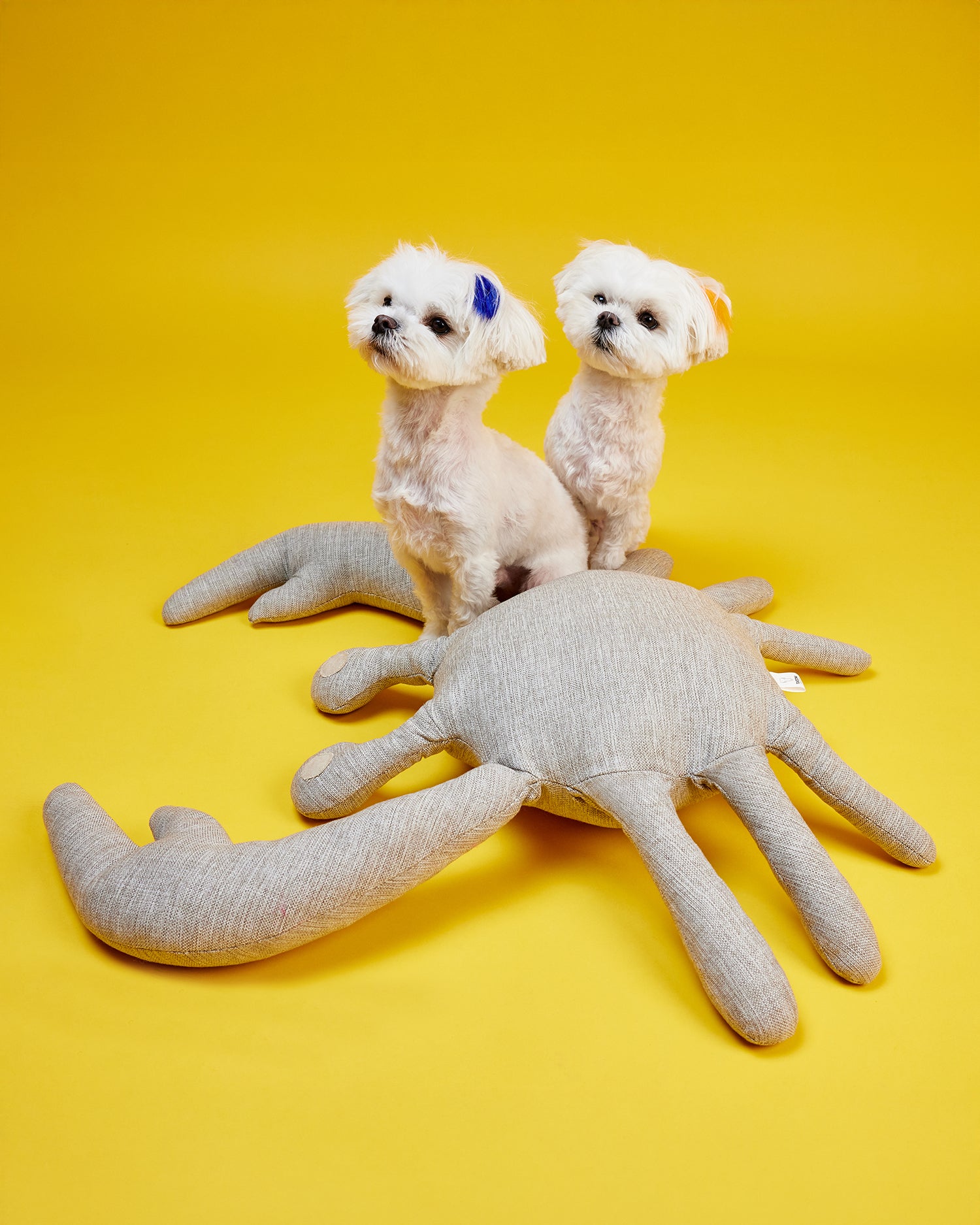 Multi Neutral Wellness Spa Toy Kit