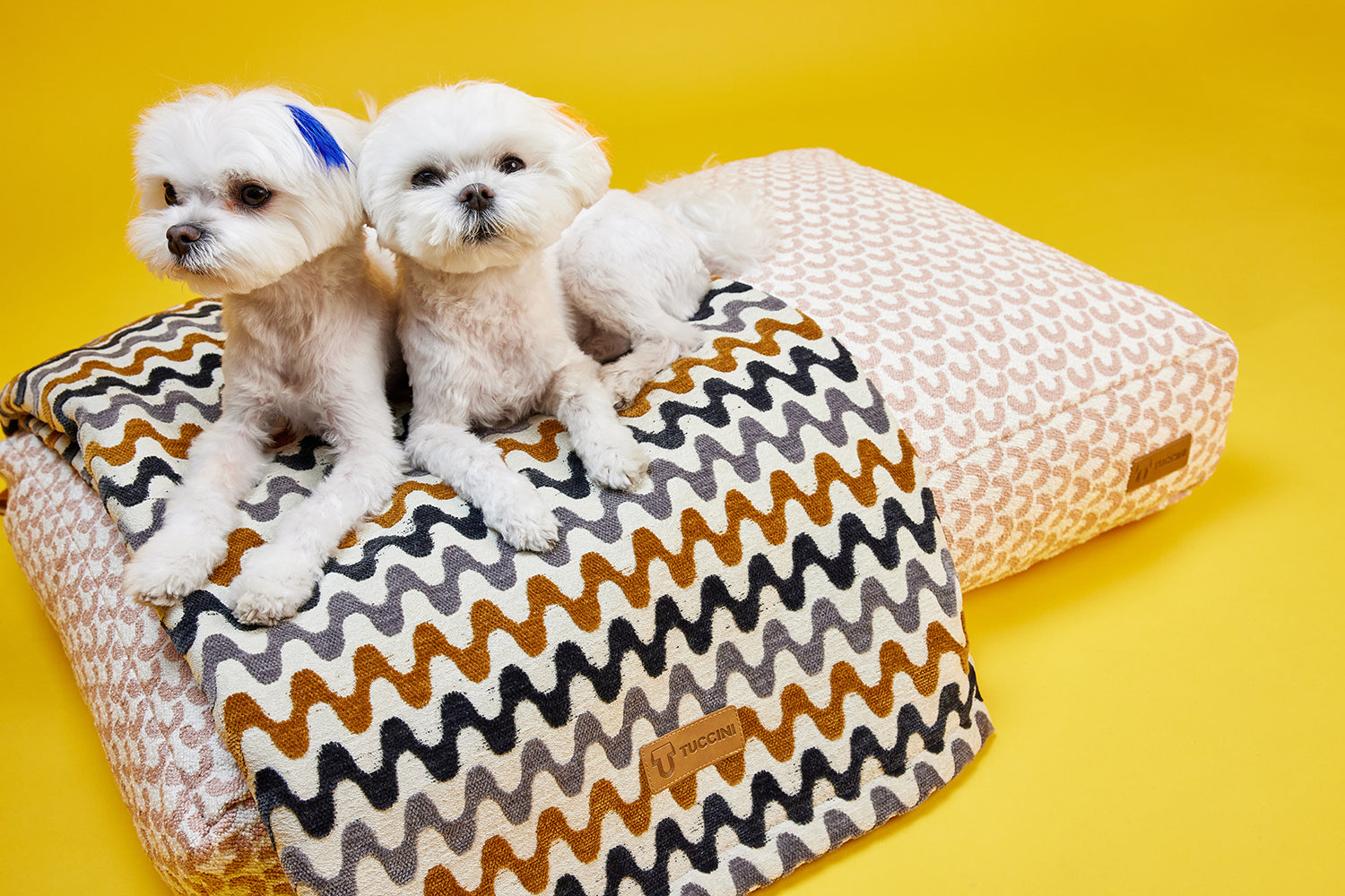 Neutral Wave Blanket