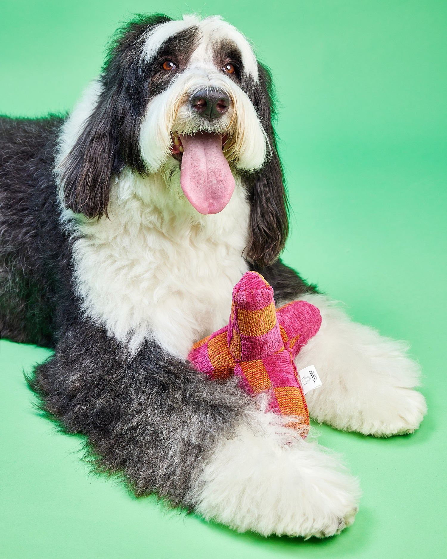 Multi Vacation Toy Kit