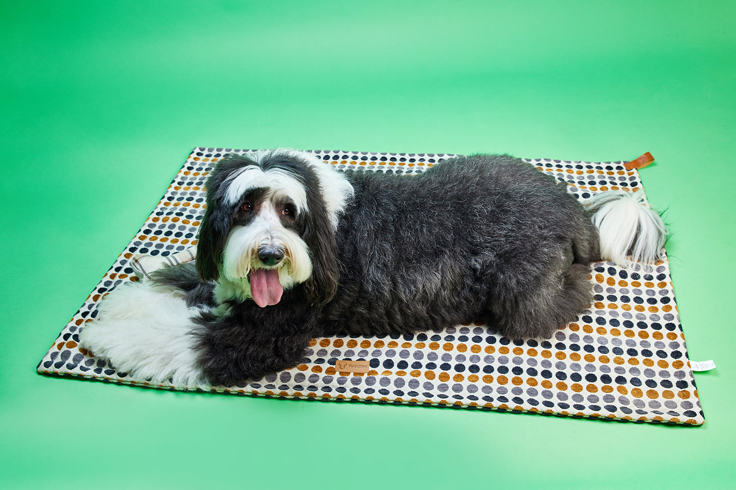 Polka Neutral Blanket