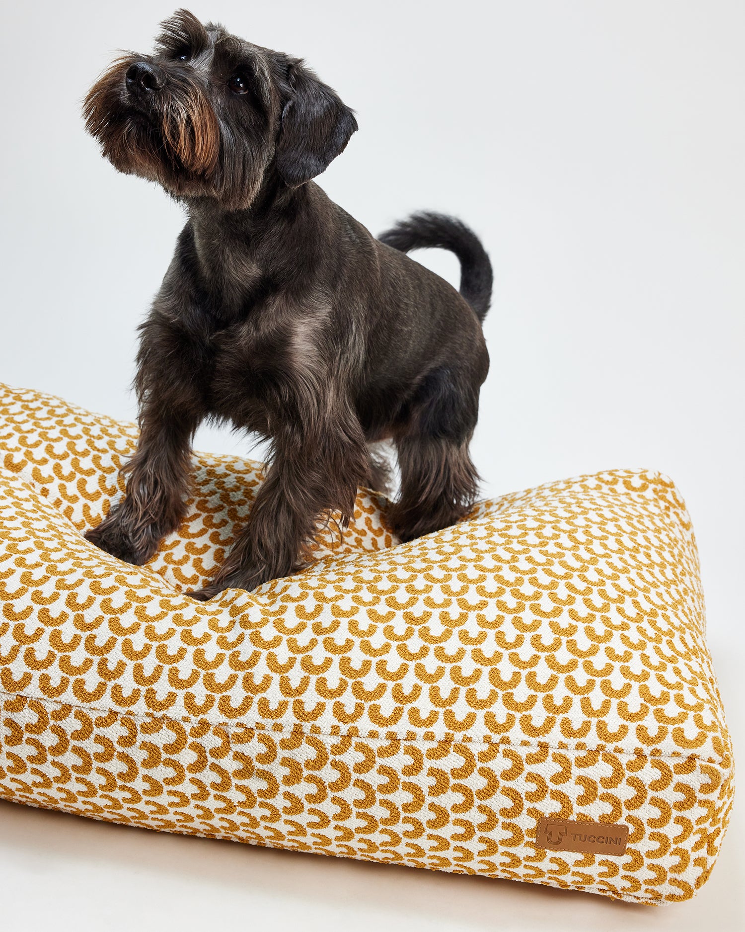 Sunshine Yellow SnoozeMate