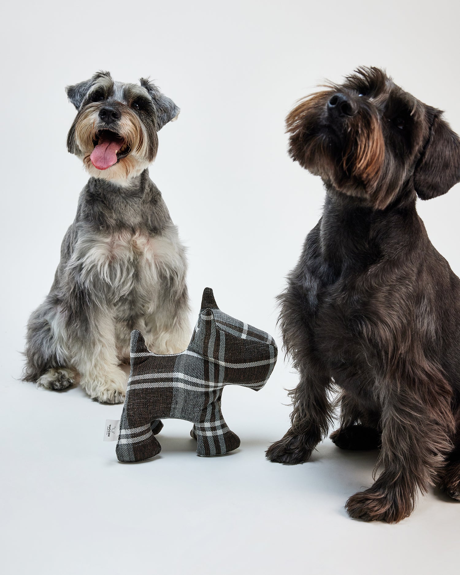 Multi Plaid British Toy Kit