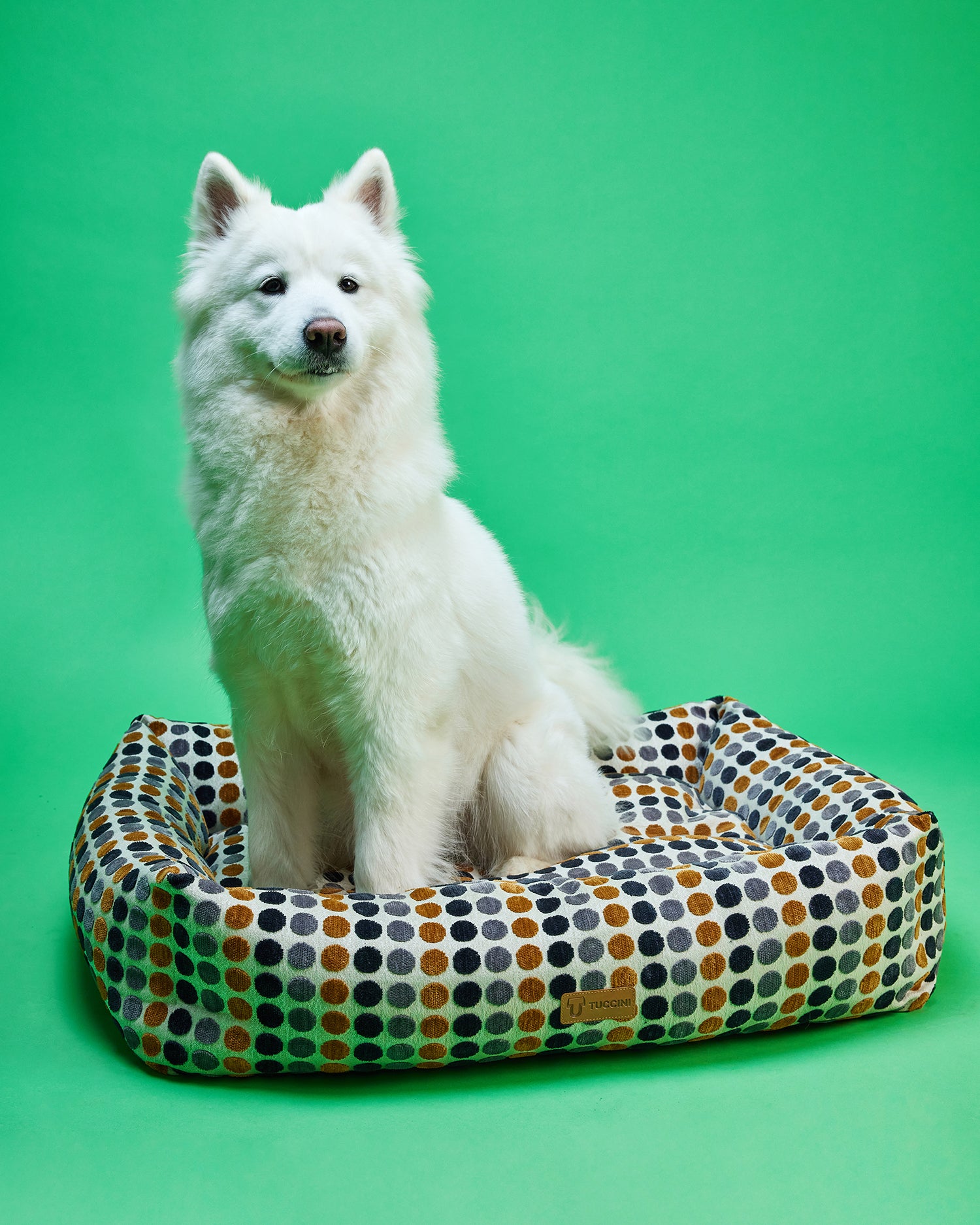 Polka Neutral Comfy Corners