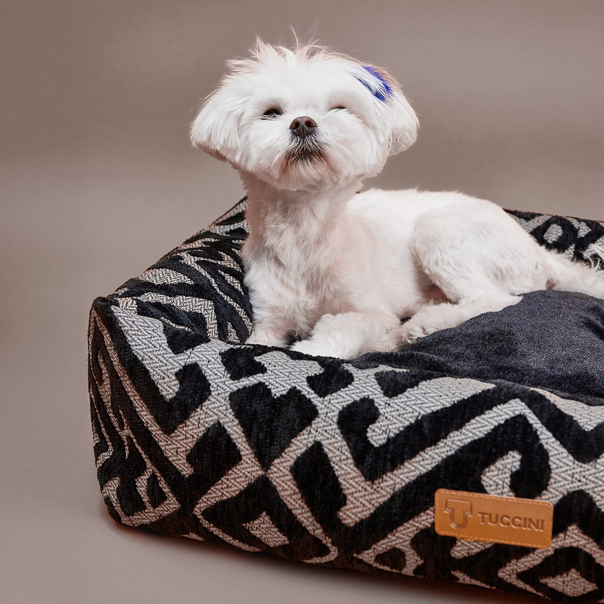 Tuccini Pet Accessories