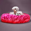 Tuccini Pet Accessories