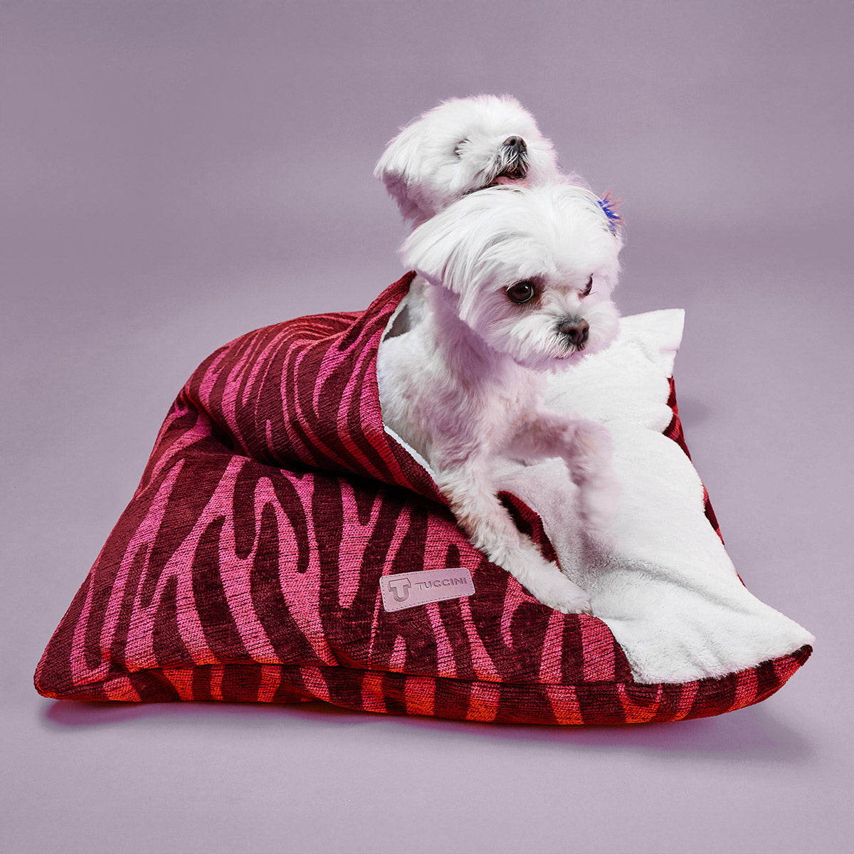 Tuccini Pet Accessories