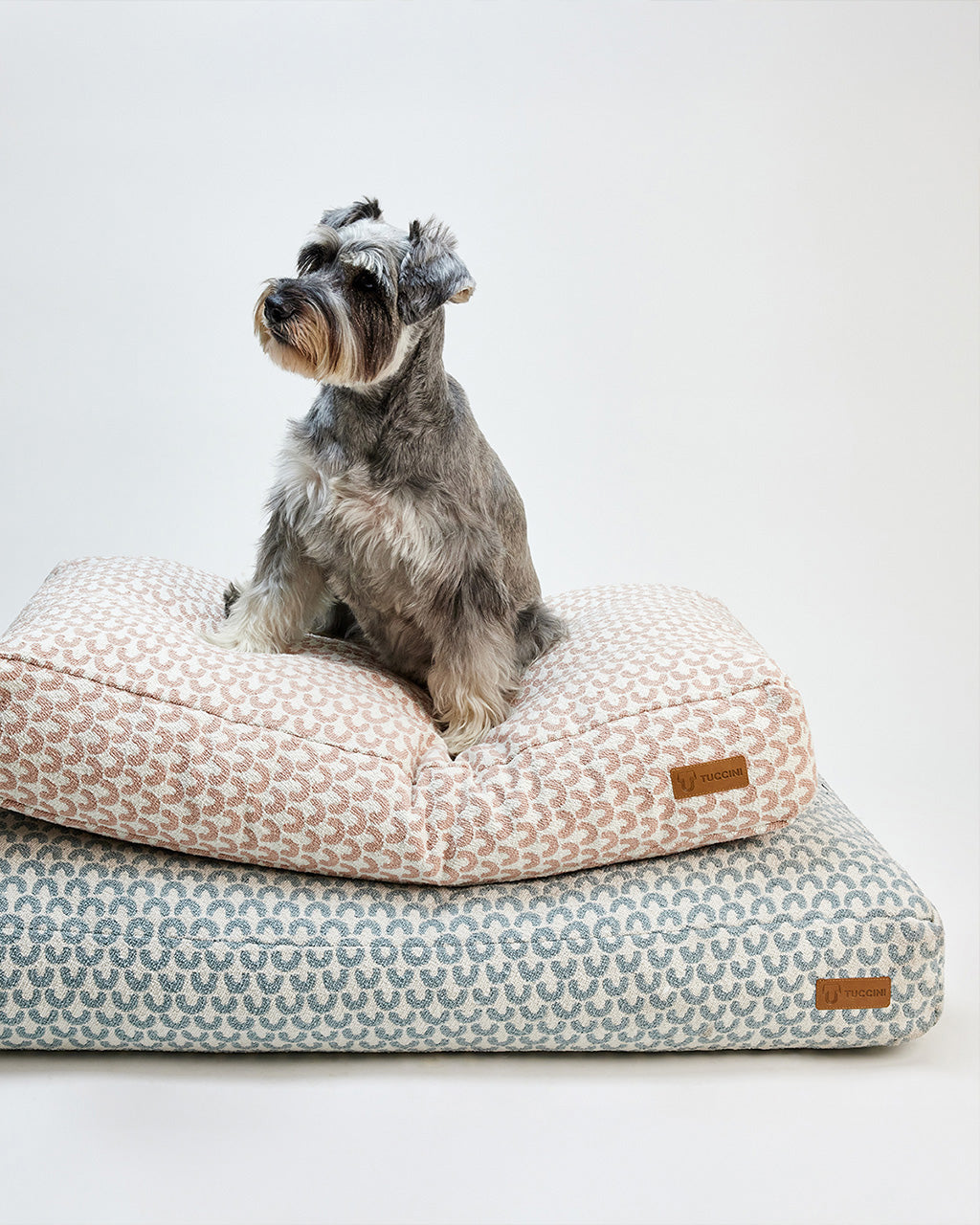 Tuccini Pet Accessories
