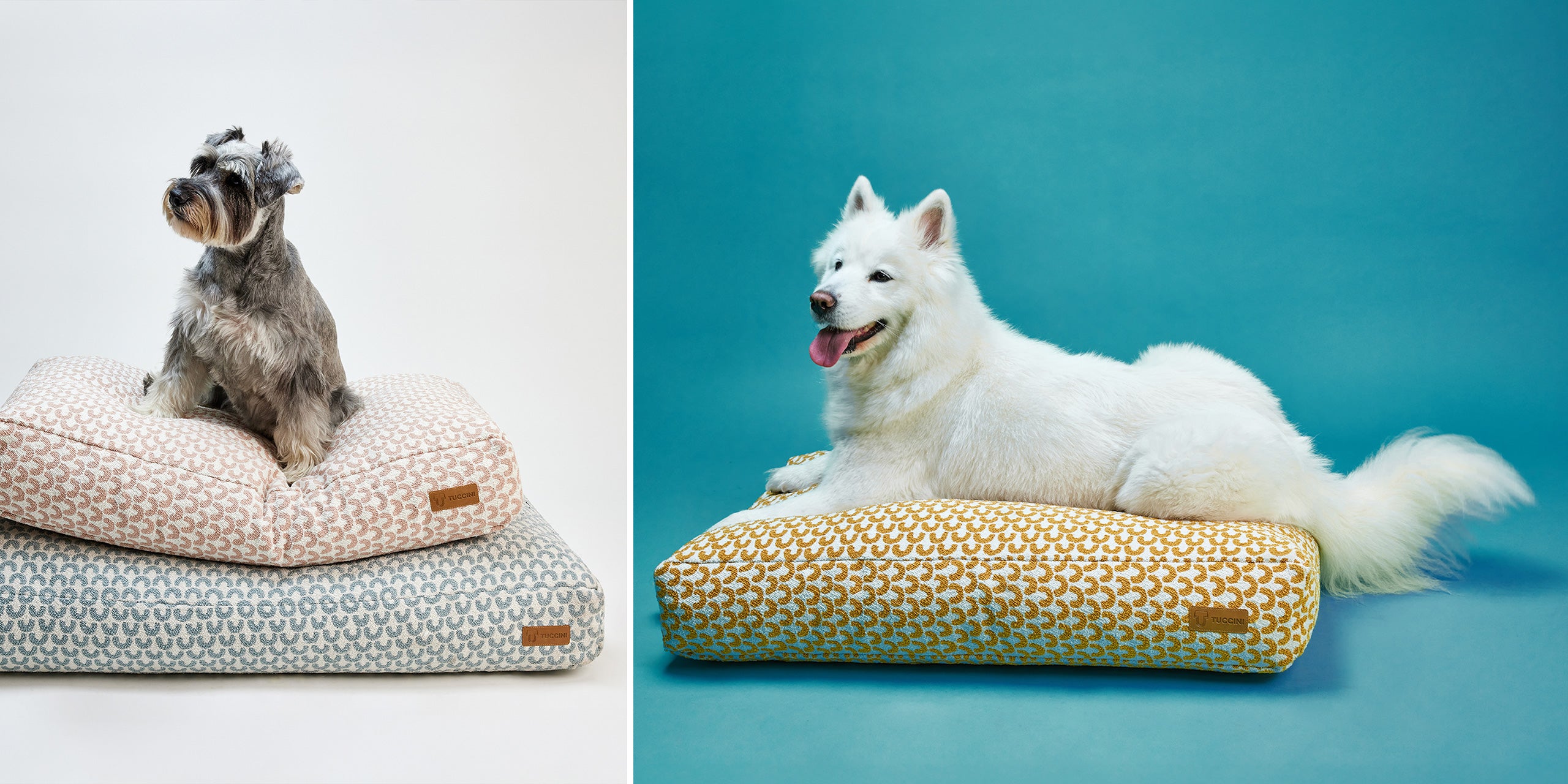 Tuccini Pet Accessories