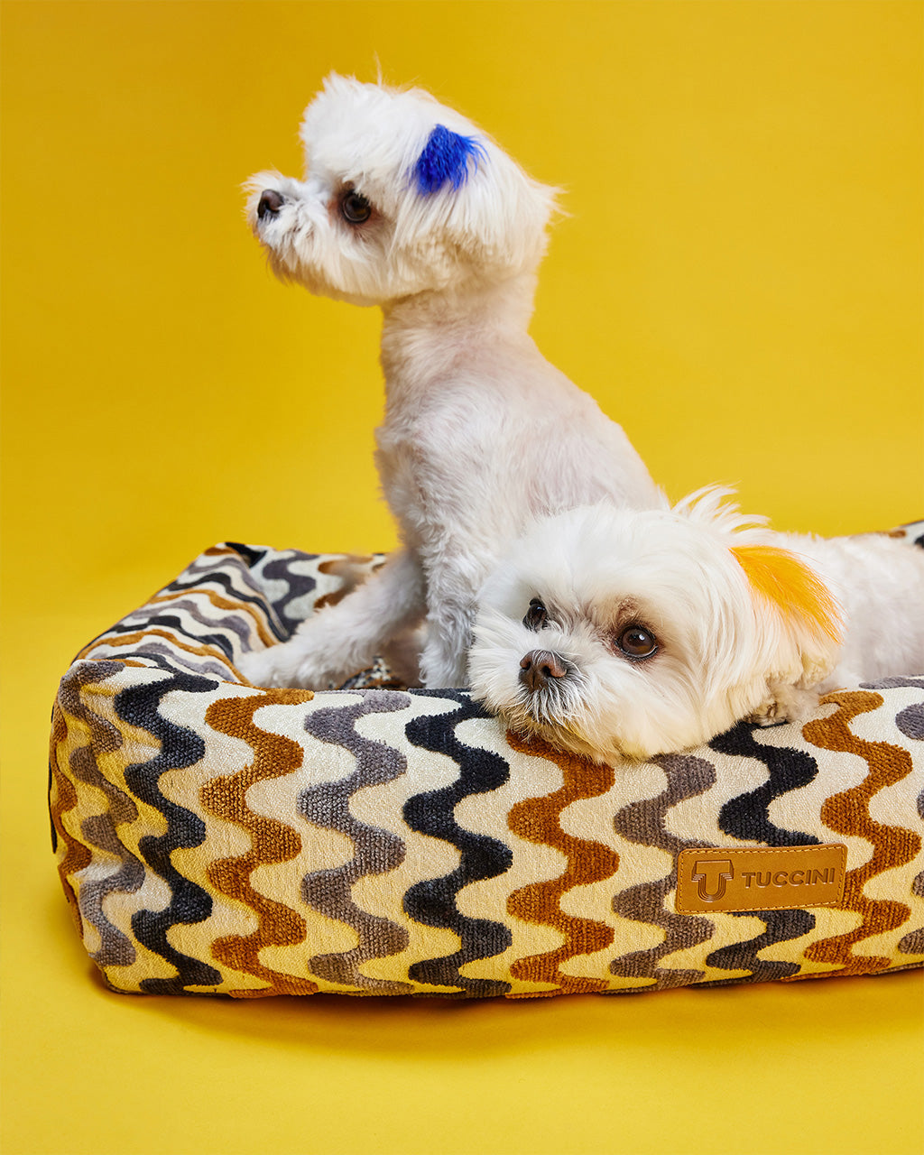 Tuccini Pet Accessories
