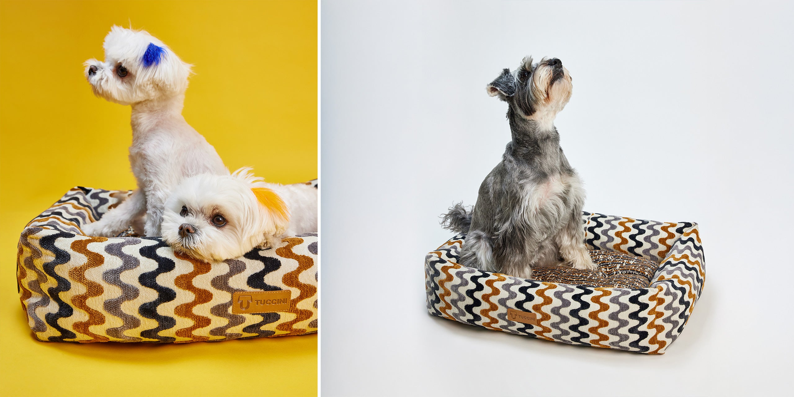 Tuccini Pet Accessories