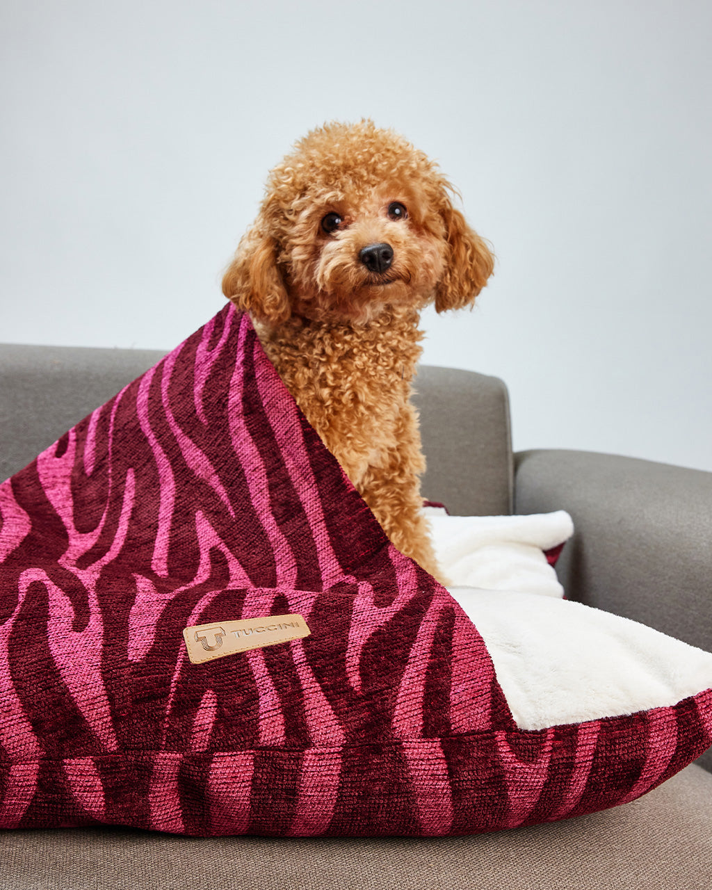 Tuccini Pet Accessories