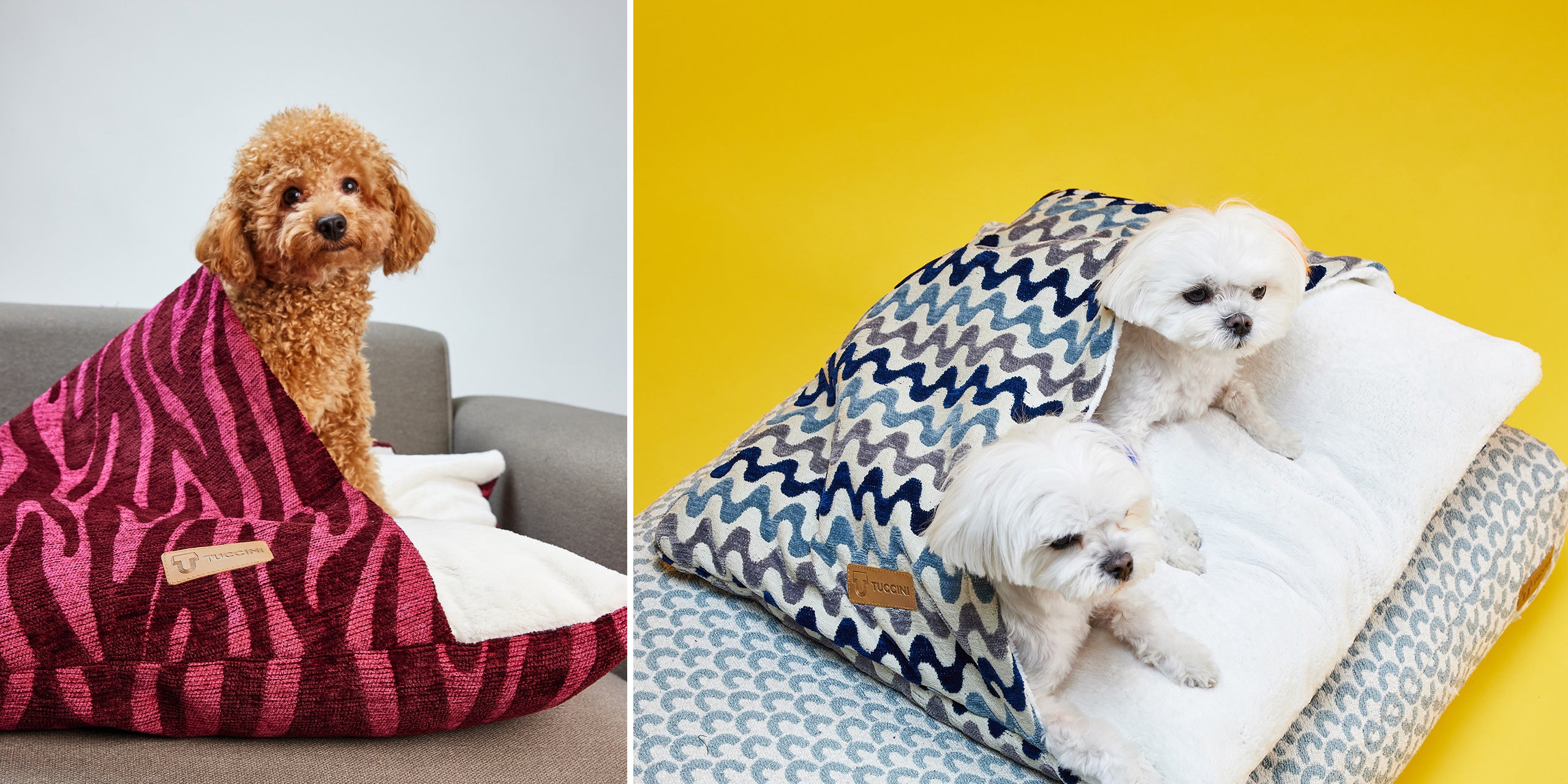 Tuccini Pet Accessories