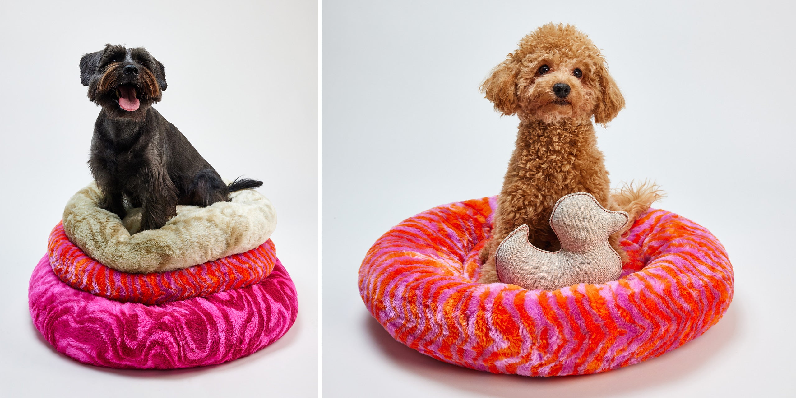 Tuccini Pet Accessories
